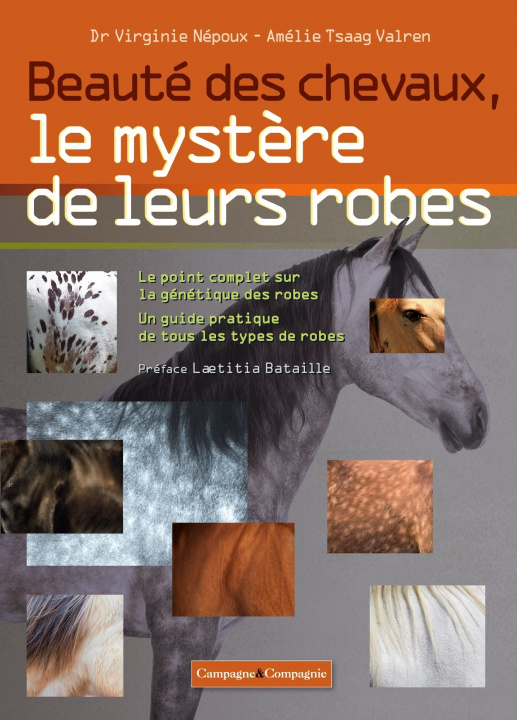 Książka Beauté des chevaux, le mystère de leurs robes Amélie TSAAG VALREN