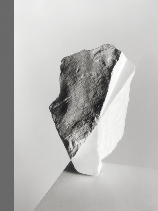Knjiga The erratics Harvey-Regan