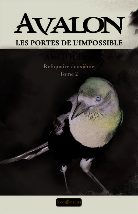 Книга AVALON  Les portes de l’impossible : Reliquaire deuxième tome 2 D'Halluin