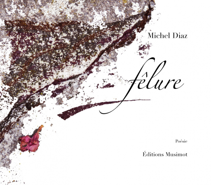 Libro Fêlure Diaz