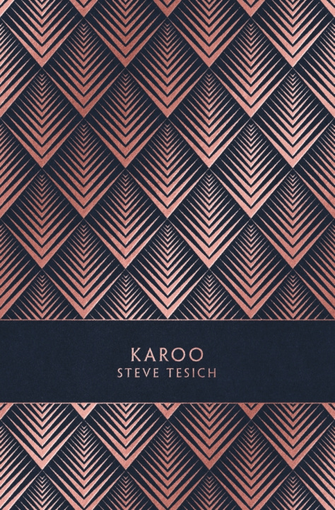 Knjiga Karoo Steve TESICH