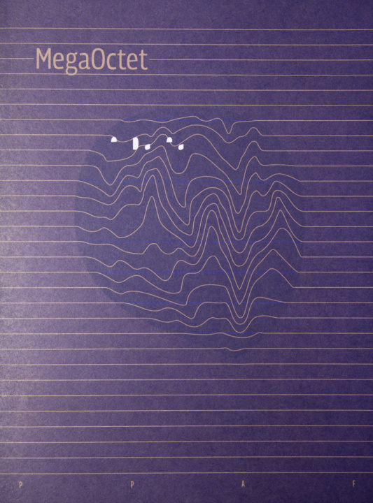 Buch MegaOctet Verbateam 