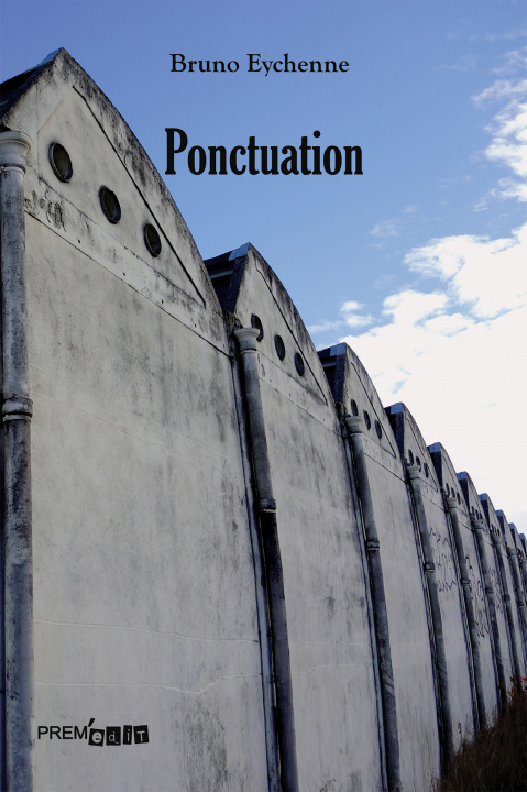 Boek Ponctuation Eychenne