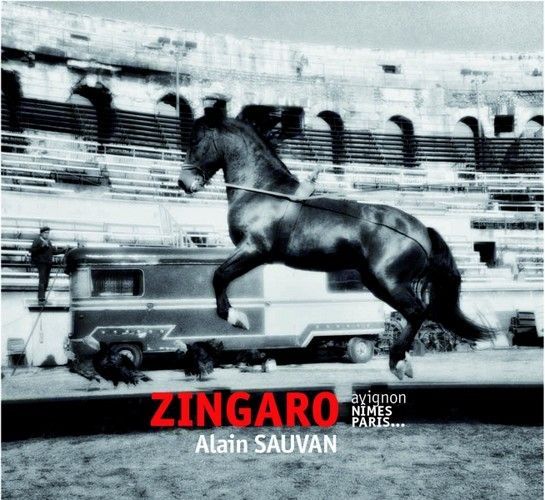 Knjiga Zingaro ALAIN