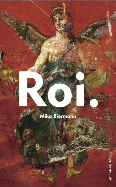 Kniha ROI. Mika BIERMANN