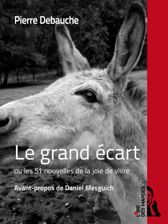Kniha Le grand écart Pierre