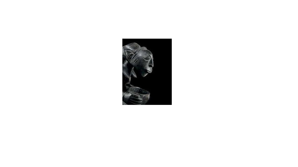 Knjiga SERIE NOIRE 