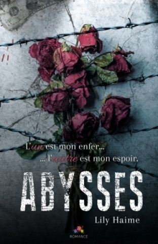 Book Abysses Lily Haime