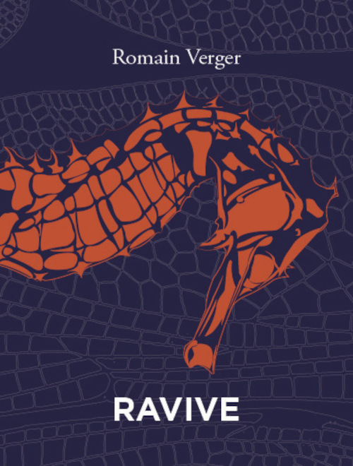 Book RAVIVE Romain VERGER