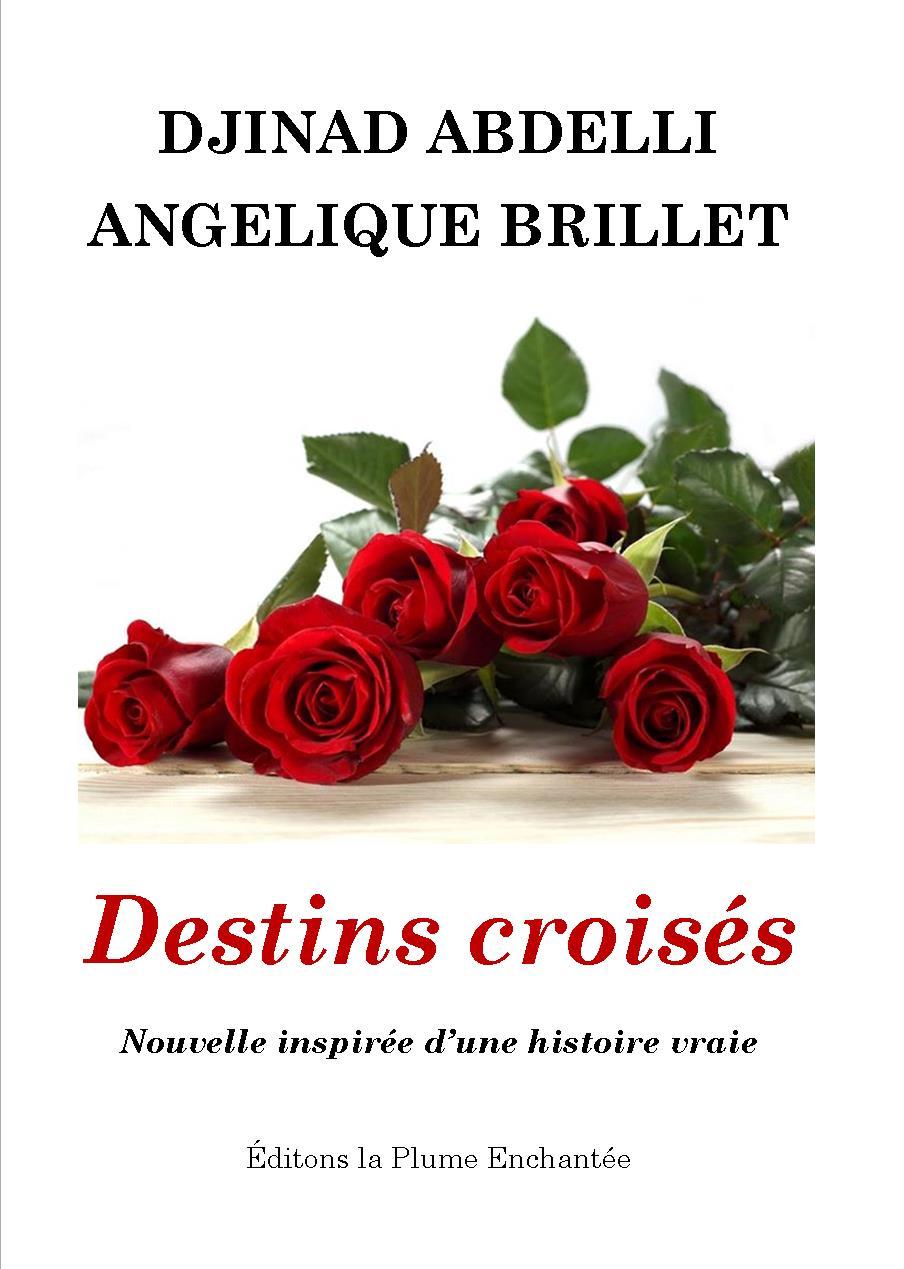 Βιβλίο Destins croisés Brillet