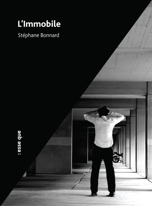 Livro L'Immobile Bonnard