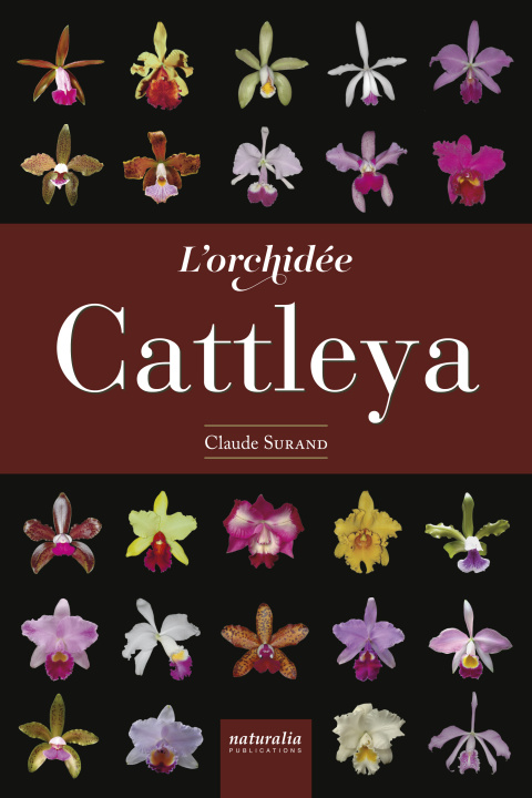 Книга L'orchidée Cattleya Surand