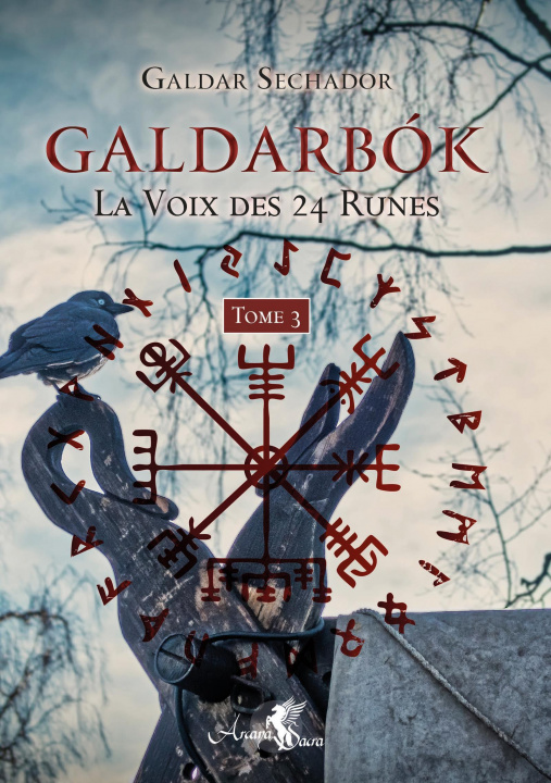 Kniha Galdarbók - La Voix des 24 Runes - Tome 3 Sechador