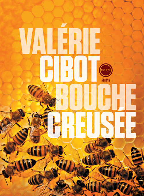 Book Bouche creusée Cibot