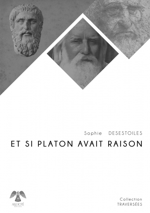 Buch Et si Platon avait raison DESESTOILES