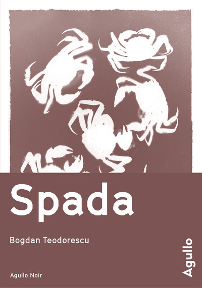 Carte Spada Bogdan Teodorescu