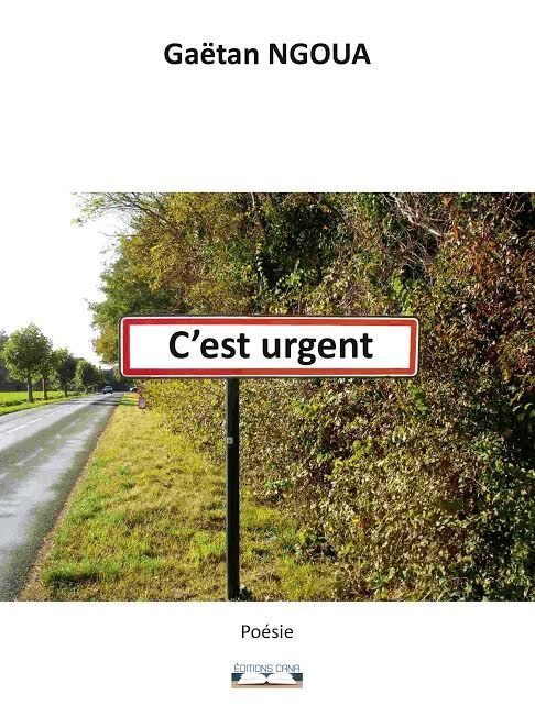 Boek C'est urgent Ngoua