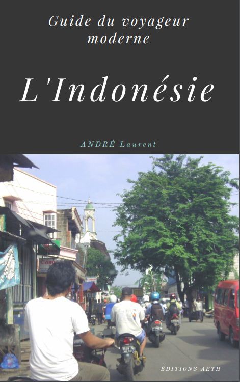 Knjiga L'INDONÉSIE Laurent