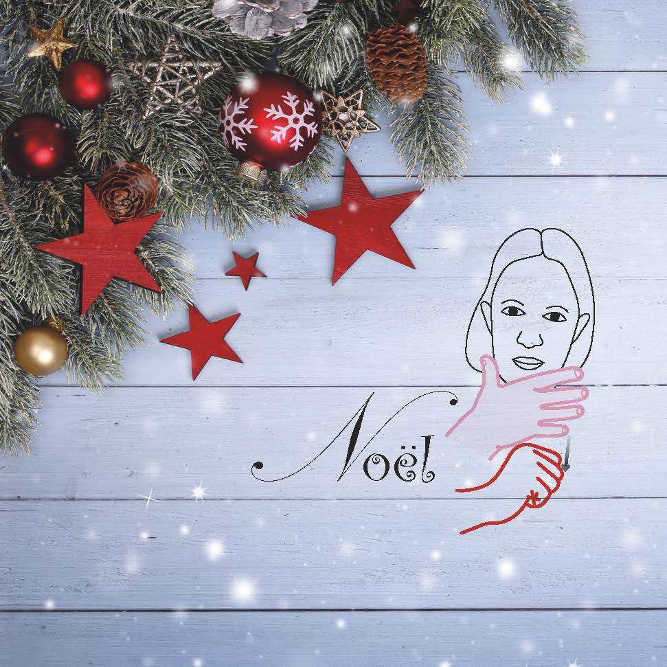 Knjiga Noël Vincent