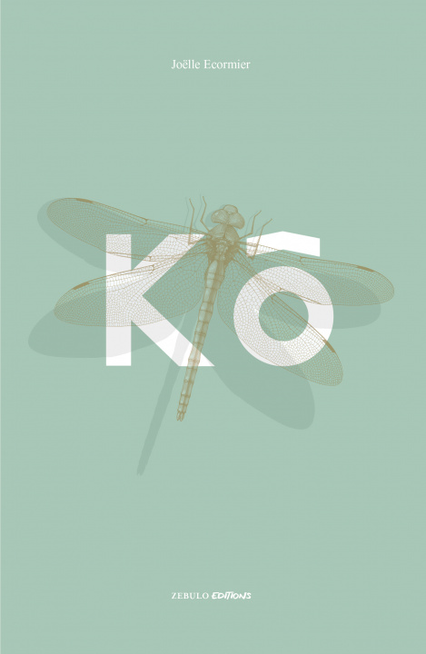 Knjiga kô Ecormier