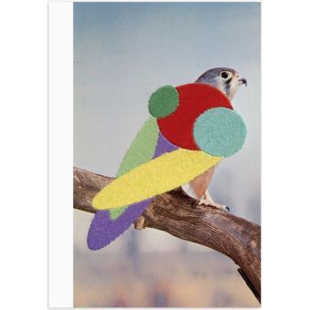 Knjiga Stickybeak 