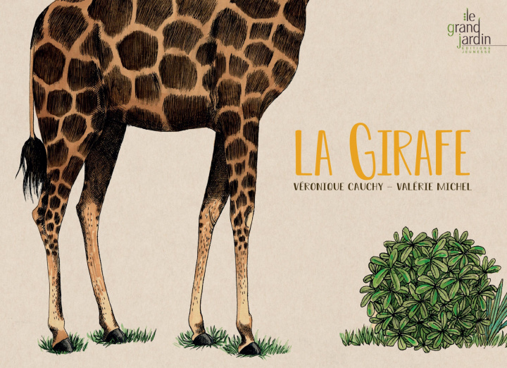 Книга La girafe CAUCHY
