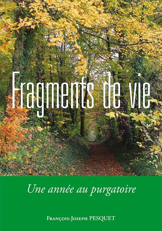 Kniha Fragments de vie Pesquet