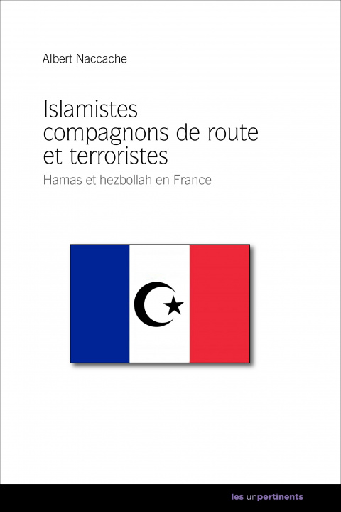 Libro Hamas et Hezbollah de France - islamistes, compagnons de route et terroristes Naccache