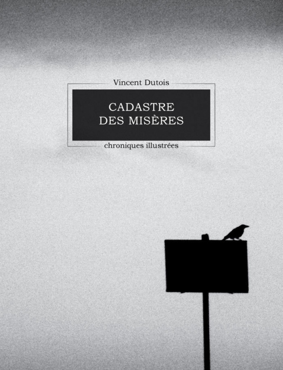 Könyv CADASTRE DES MISÈRES Vincent