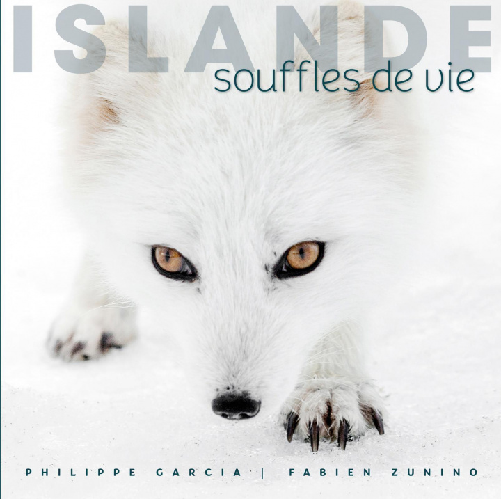 Boek Islande Garcia