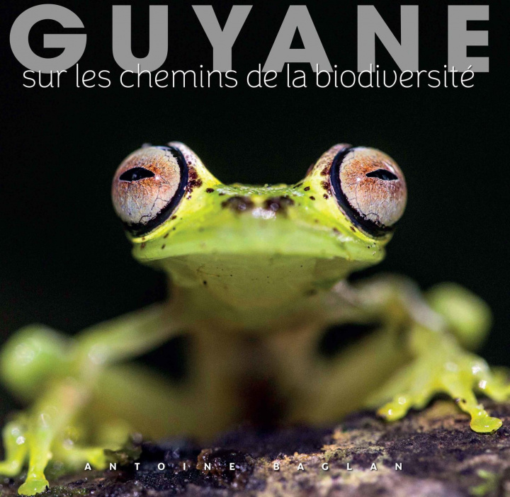 Knjiga Guyane BAGLAN