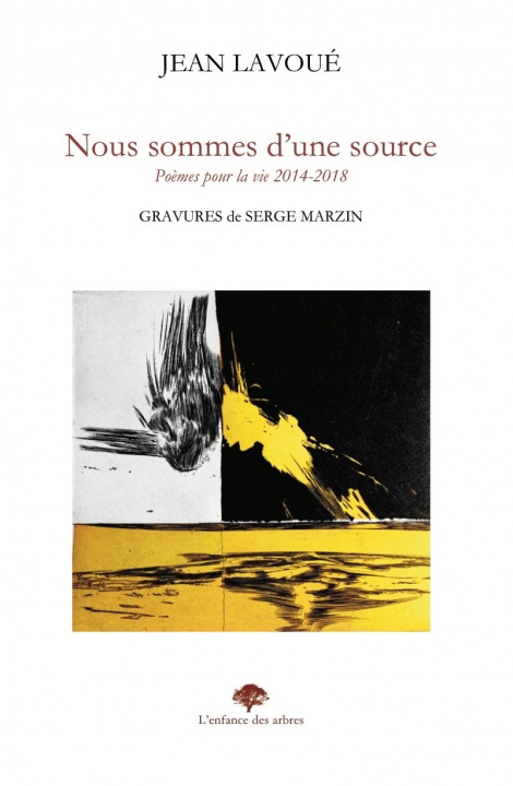 Boek NOUS SOMMES D'UNE SOURCE Lavoué
