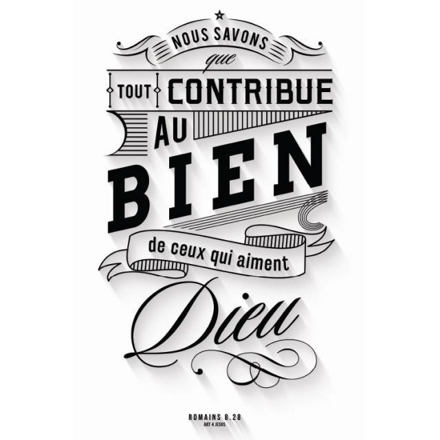 Knjiga Tableau : Dieu - Romains 8.28 NC