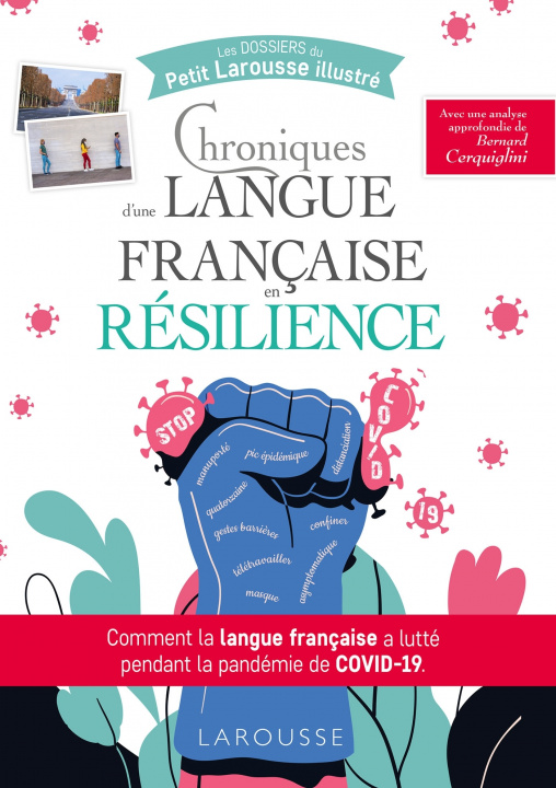 Buch Chroniques d'une langue française en résilience Bernard Cerquiglini
