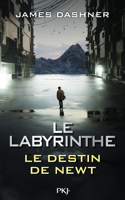 Книга Le Labyrinthe - Le destin de Newt James Dashner