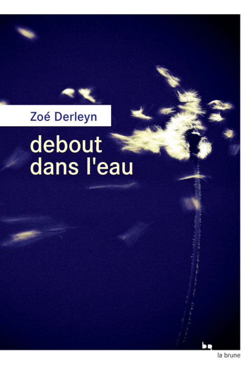 Knjiga Debout dans l'eau Derleyn
