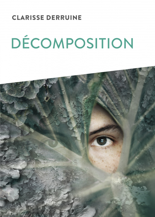 Knjiga Décomposition Clarisse Derruine