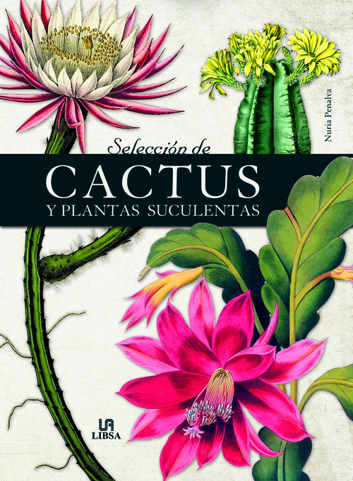 Kniha Selección de Cactus y Plantas Suculentas NURIA PENALVA