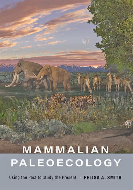 Kniha Mammalian Paleoecology Felisa A. Smith