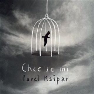 Boek Chce se mi Pavel Kašpar