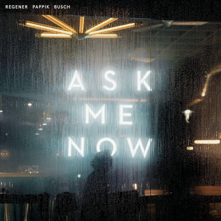 Audio Ask Me Now Sven Regener