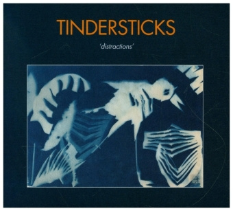 Audio Distractions Tindersticks