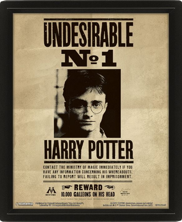 Nyomtatványok 3D obraz Harry Potter Sirius 
