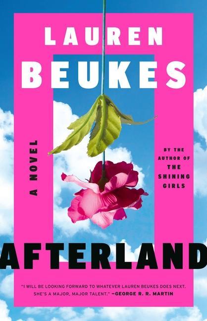 Book Afterland Beukes