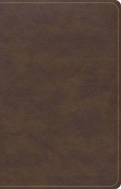 Carte CSB Single-Column Compact Bible, Brown Leathertouch 