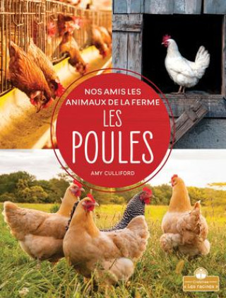 Knjiga Les Poules (Chickens) Claire Savard