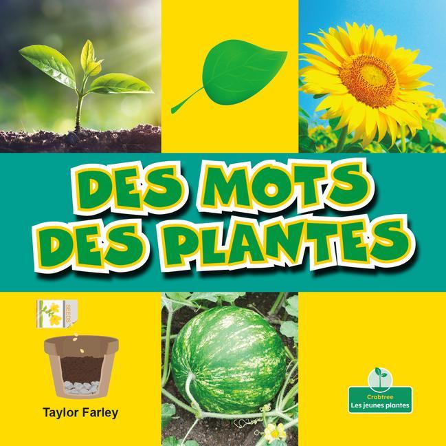 Könyv Des Mots Des Plantes (Plant Words) Claire Savard