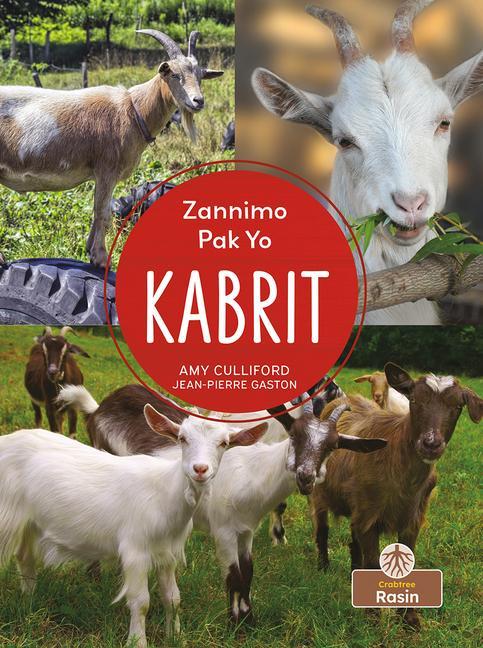 Kniha Kabrit (Goats) Jean Pierre Gaston