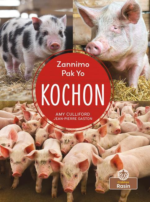 Kniha Kochon (Pigs) Jean Pierre Gaston