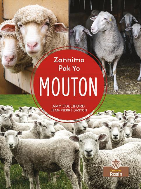 Kniha Mouton (Sheep) Jean Pierre Gaston
